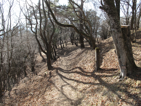 20180116hike (163)